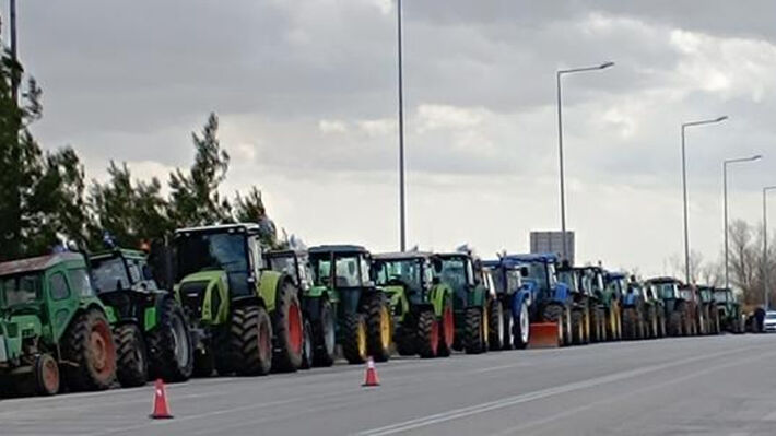 agrotes-ebros-02