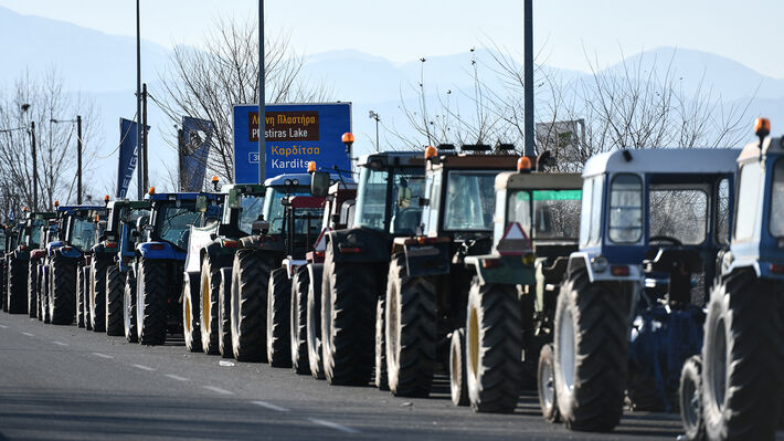 agrotes_karditsa
