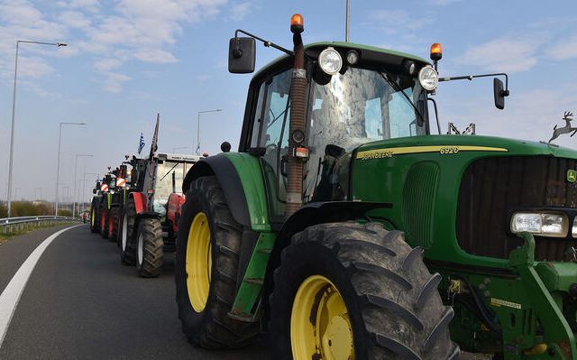 agrotes_karditsa_10