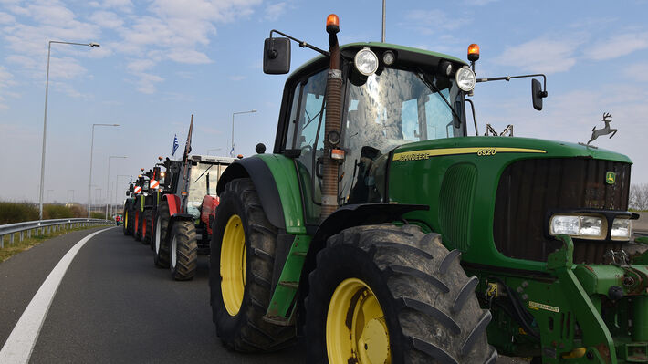 agrotes_karditsa_10