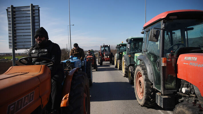 larisa-agrotes-3