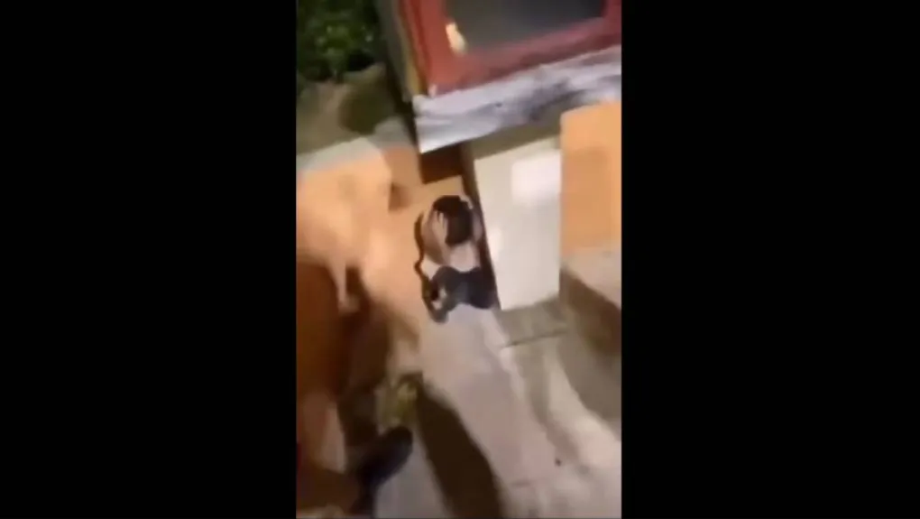 paidi.jpg
