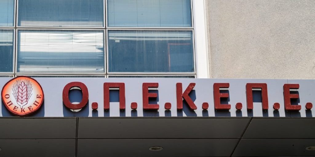 opekepe-3-1024×683