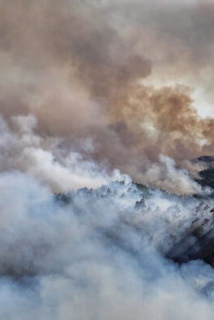 syria-wildfires