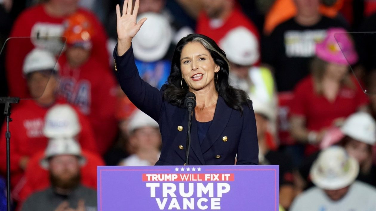 Tulsi-Gabbard