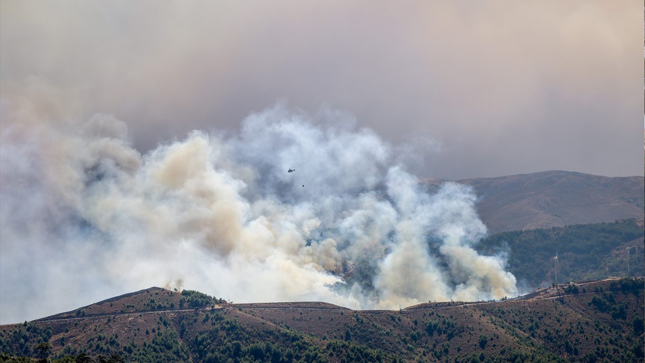 chios-pyrkagia1