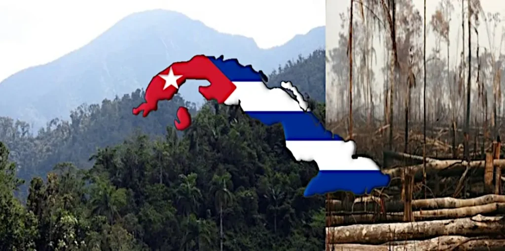 cuba-triplasiase-dasi-eno-ellada-flegetai