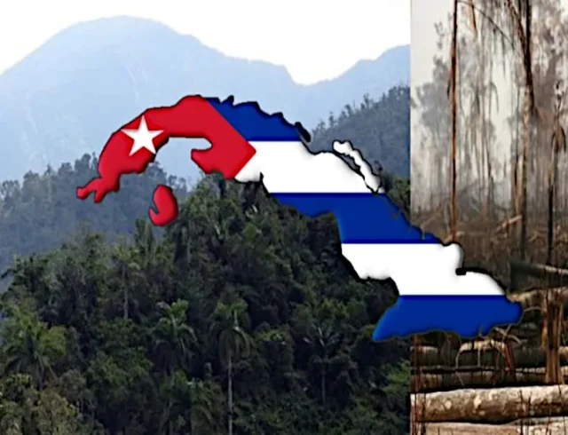 cuba-triplasiase-dasi-eno-ellada-flegetai