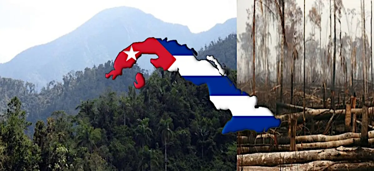 cuba-triplasiase-dasi-eno-ellada-flegetai