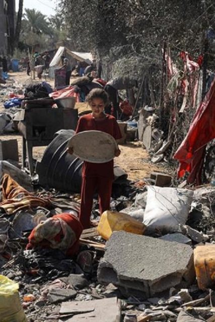 gaza