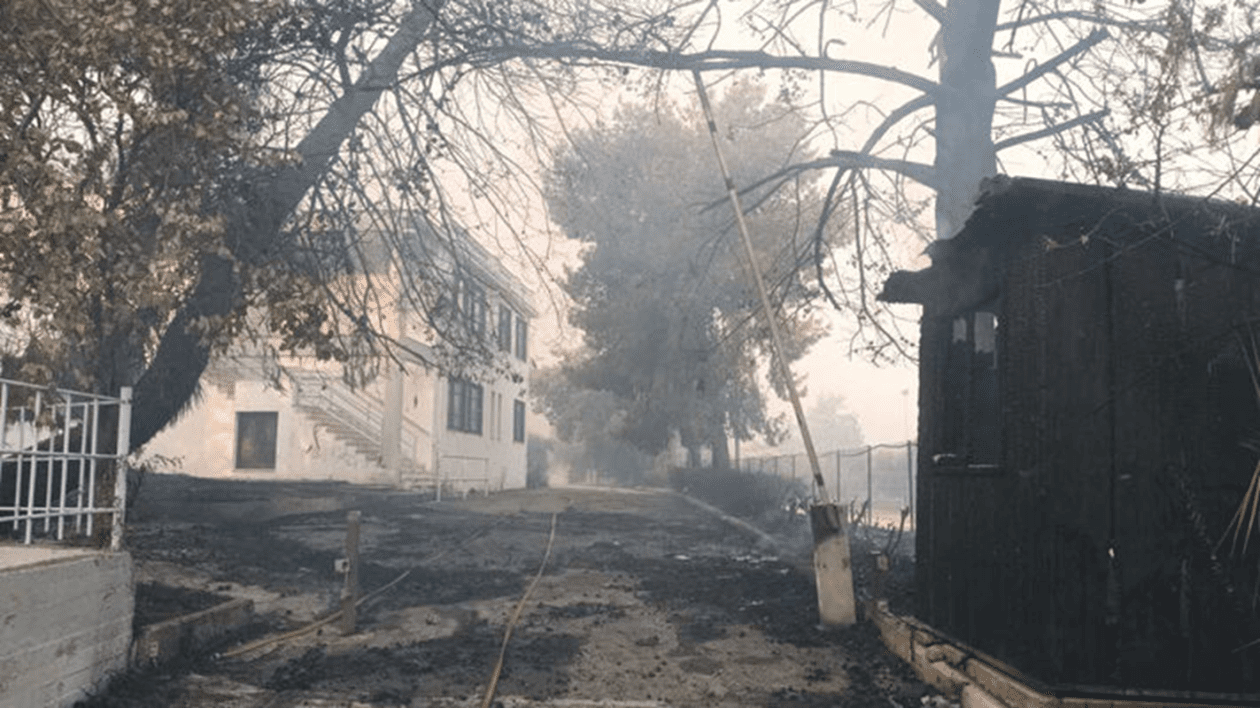 pyrkagia-patra