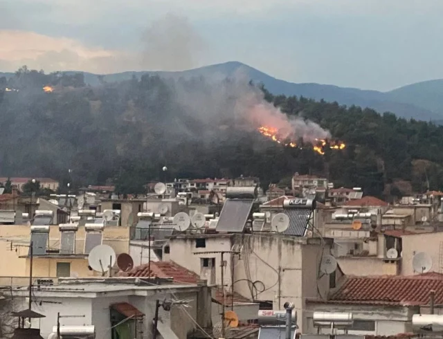 serres-fotia