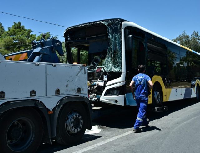 6600885-1024×683