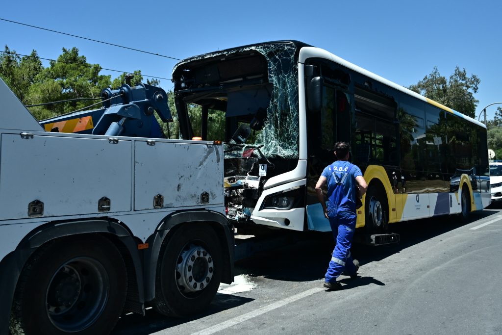6600885-1024×683