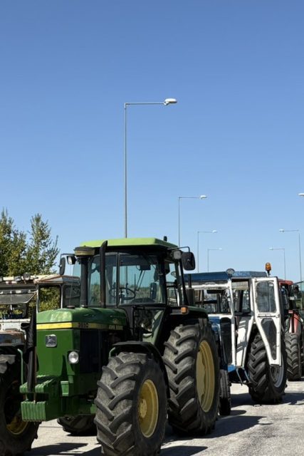 agrotes-e65-03