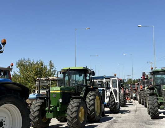 agrotes-e65-03