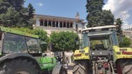 agrotes lapsista trakter dimarxeio