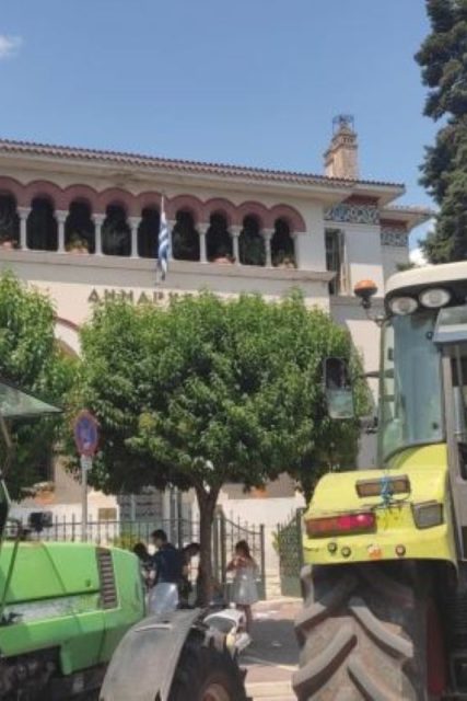 agrotes lapsista trakter dimarxeio