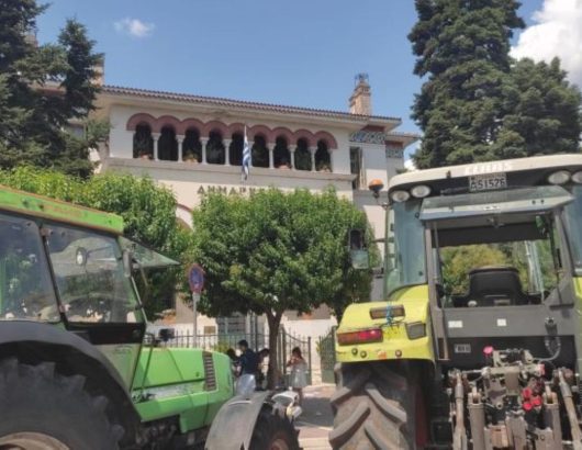 agrotes lapsista trakter dimarxeio