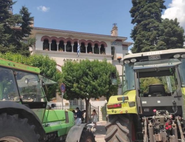 agrotes lapsista trakter dimarxeio