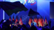 AFD