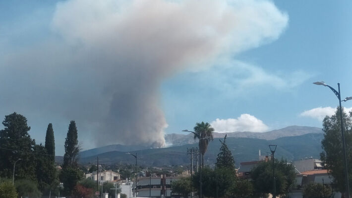 fotia-patra-2a
