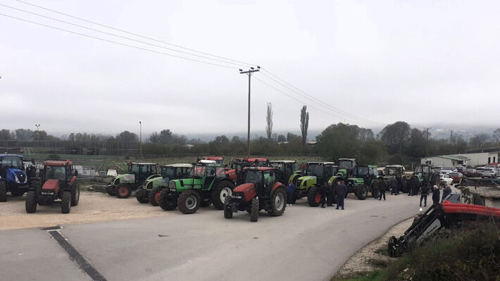 agrotes-lapsistas-1