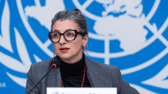 albanese un