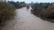 chios_volissos_malagkiotis_30dec19
