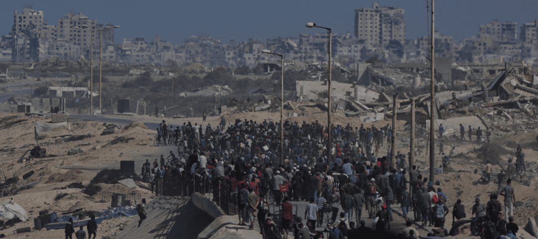 gaza14α