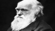 Charles_Darwin 715Χ460
