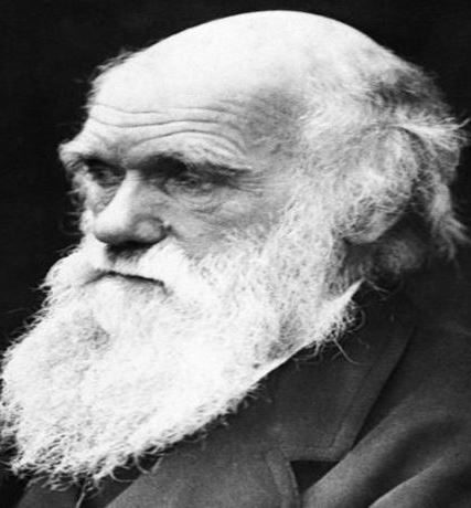 Charles_Darwin 715Χ460