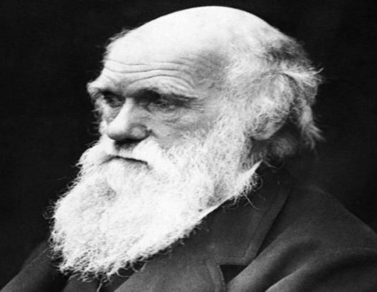 Charles_Darwin 715Χ460