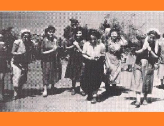 ΜΑΚΡΟΝΗΣΟΣ 715Χ460