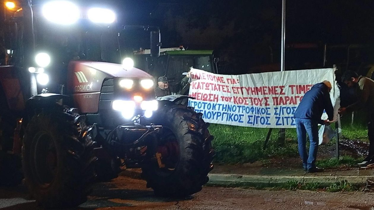 agrotes-kalpaki-2