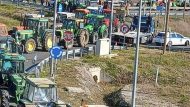 agrotes-karditsa_0