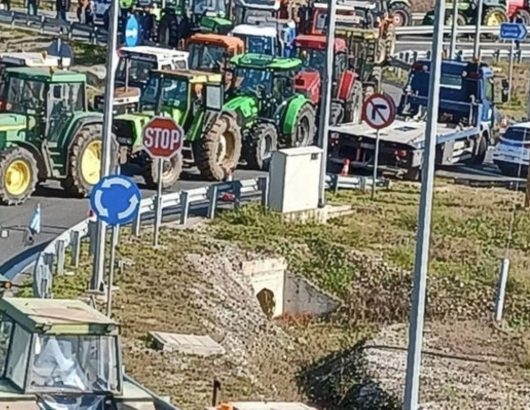 agrotes-karditsa_0