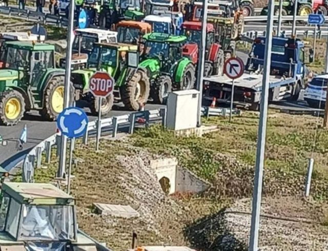 agrotes-karditsa_0