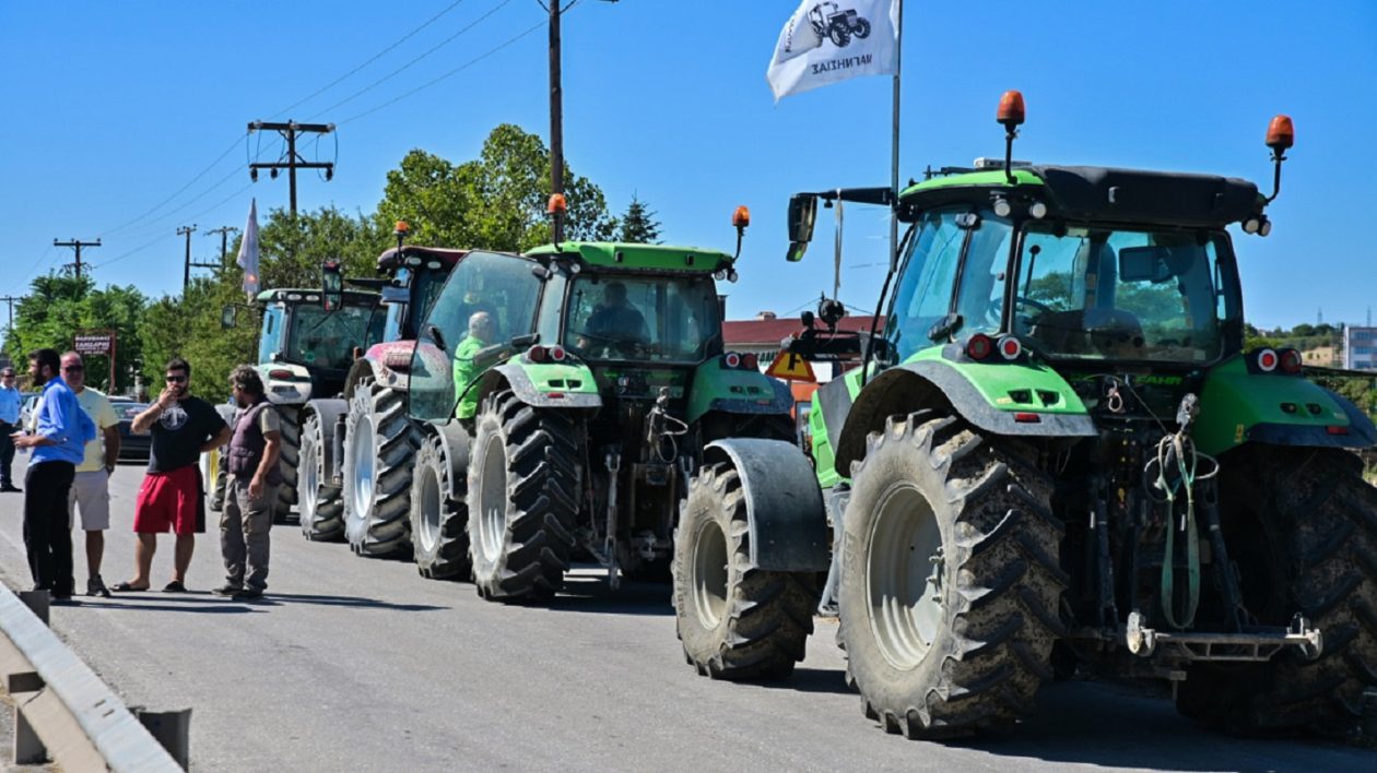 agrotes23