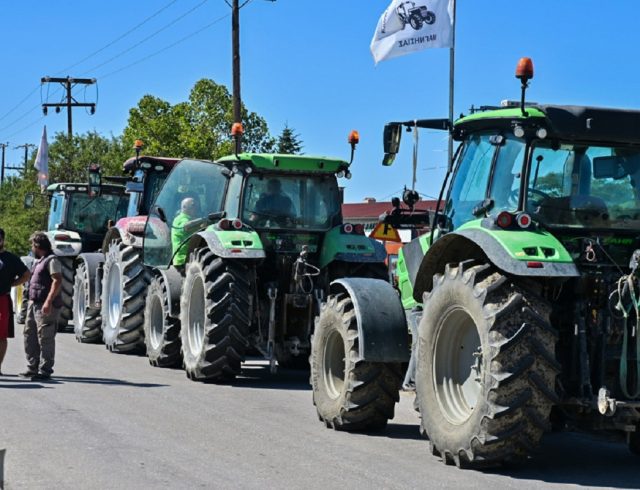 agrotes23