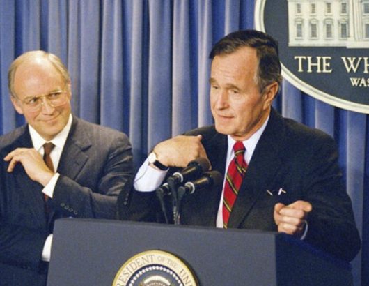 bush-g
