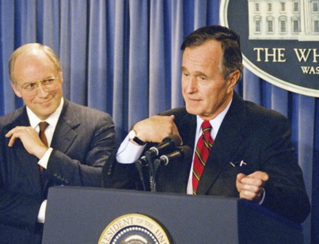 bush-g