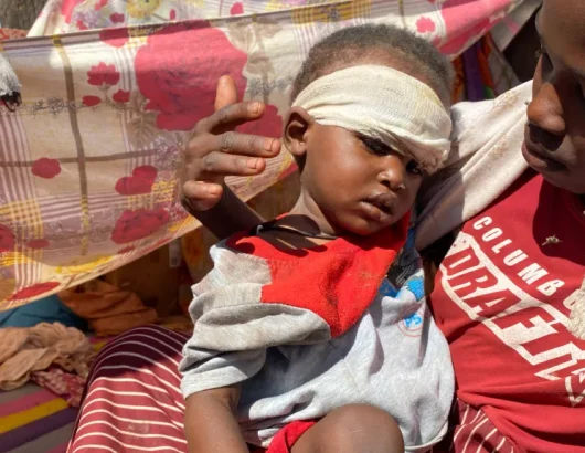 sudan (3).png