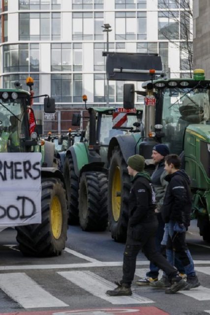 BRUSSELS AGROTES