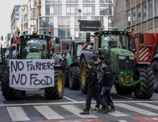 BRUSSELS AGROTES