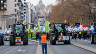 Brusells-agrotes1