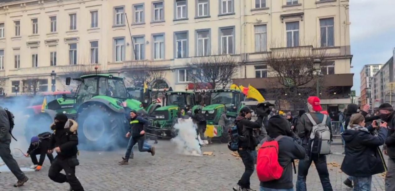 agrotes Brussels