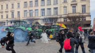 agrotes Brussels