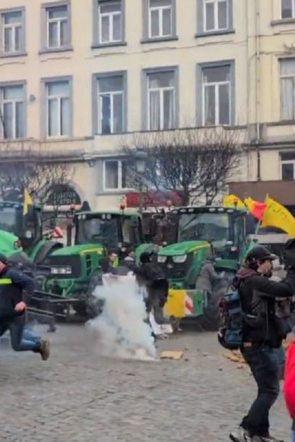 agrotes Brussels