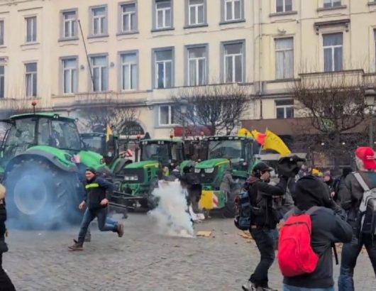 agrotes Brussels